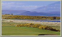 Royal Dornoch Golf Club  Luxury Transport Services